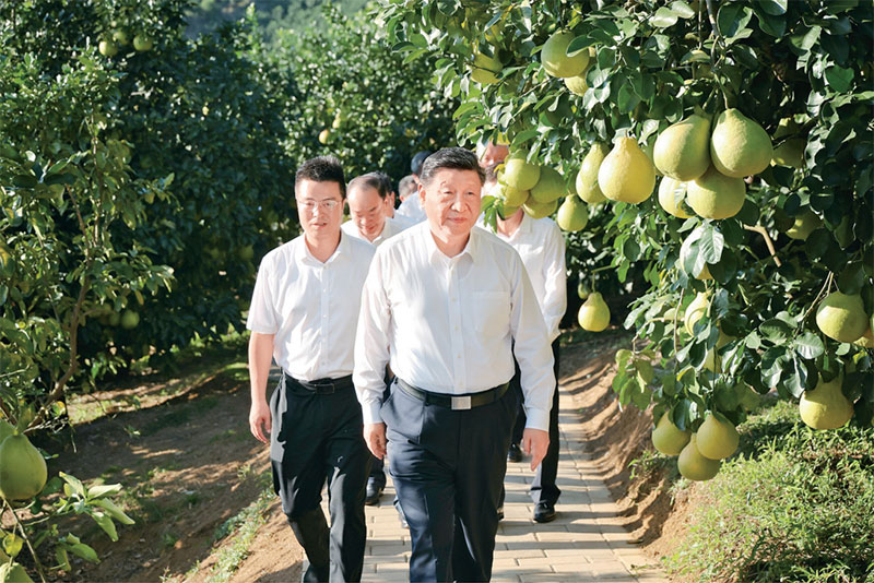 图片4 图片4